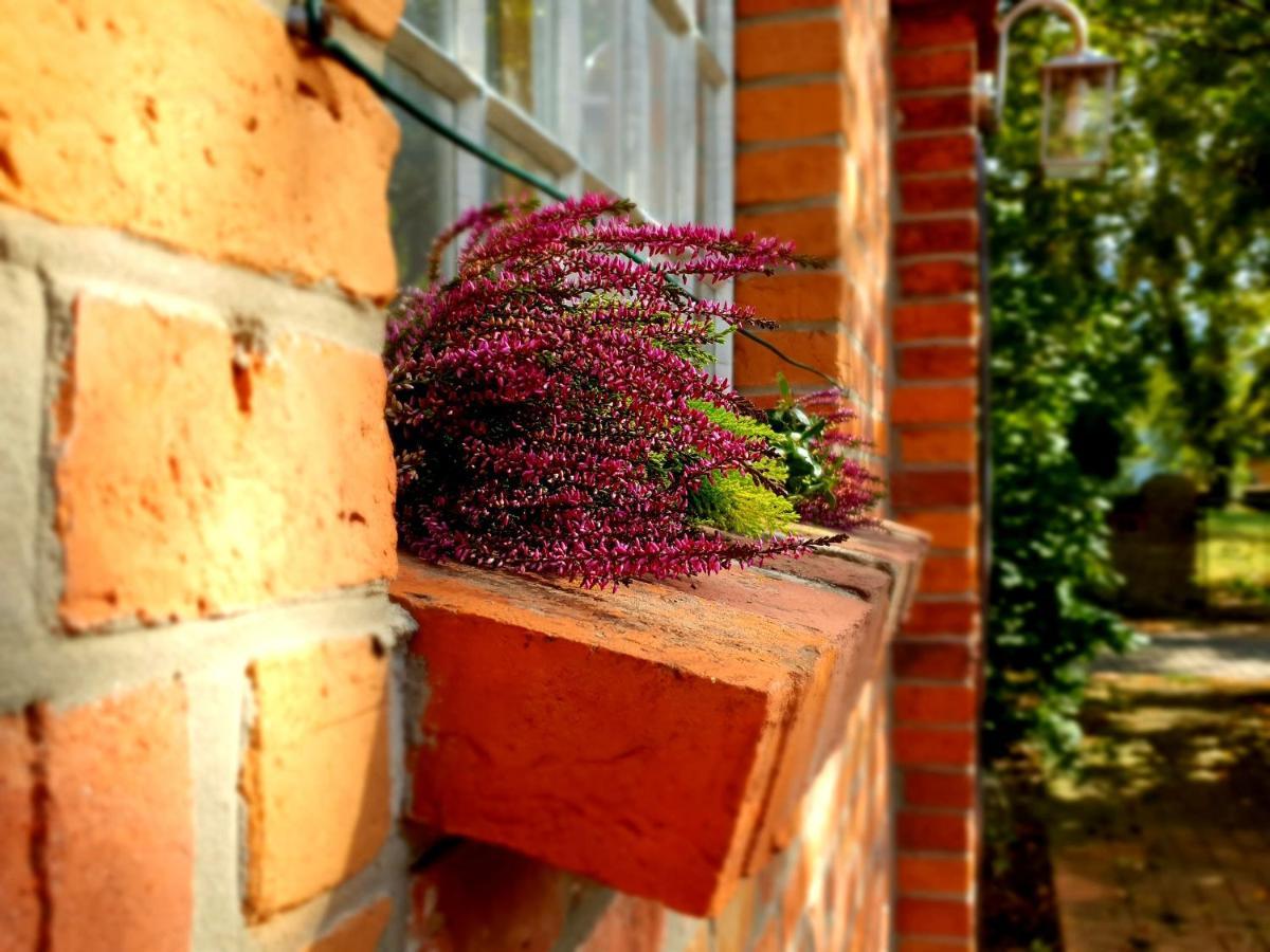 Schmiede1860 Bed & Breakfast Gross Dratow Bagian luar foto